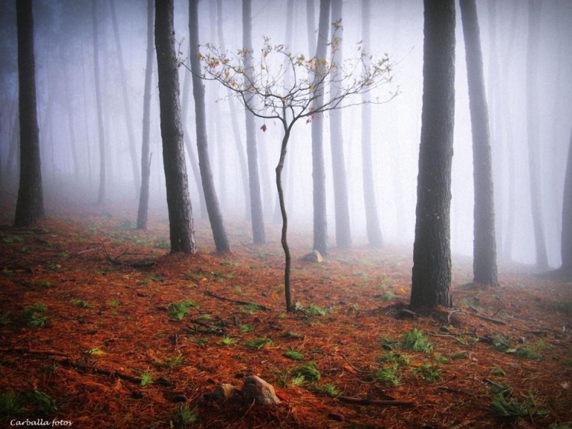 Unknown Spain Unknown Spain