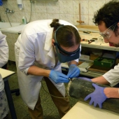 Unusual greetings from the bright past: frightening finds in time capsules