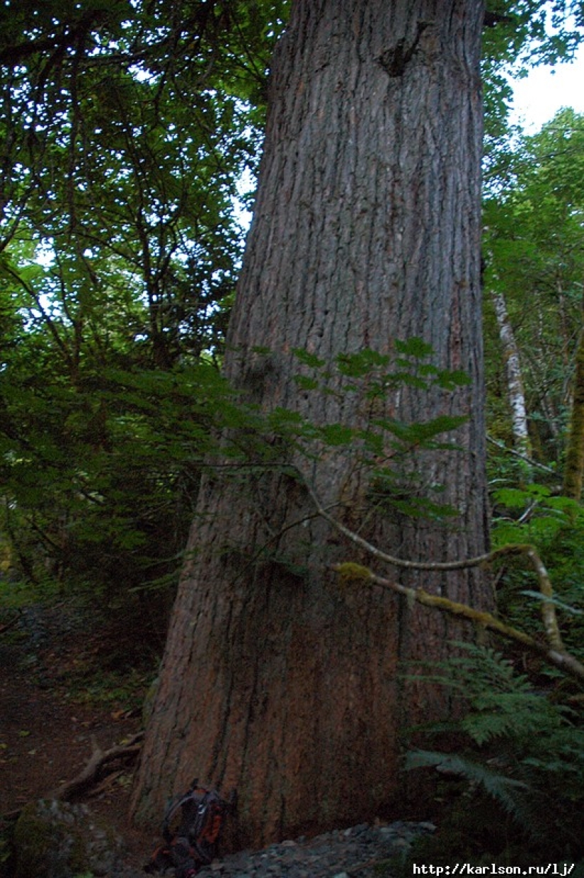 USA: Lakes and Waterfalls of the Foss River Valley USA: Lakes and Waterfalls of the Foss River Valley