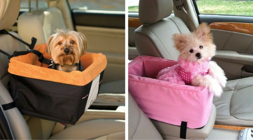 Useful car accessories you might not know about