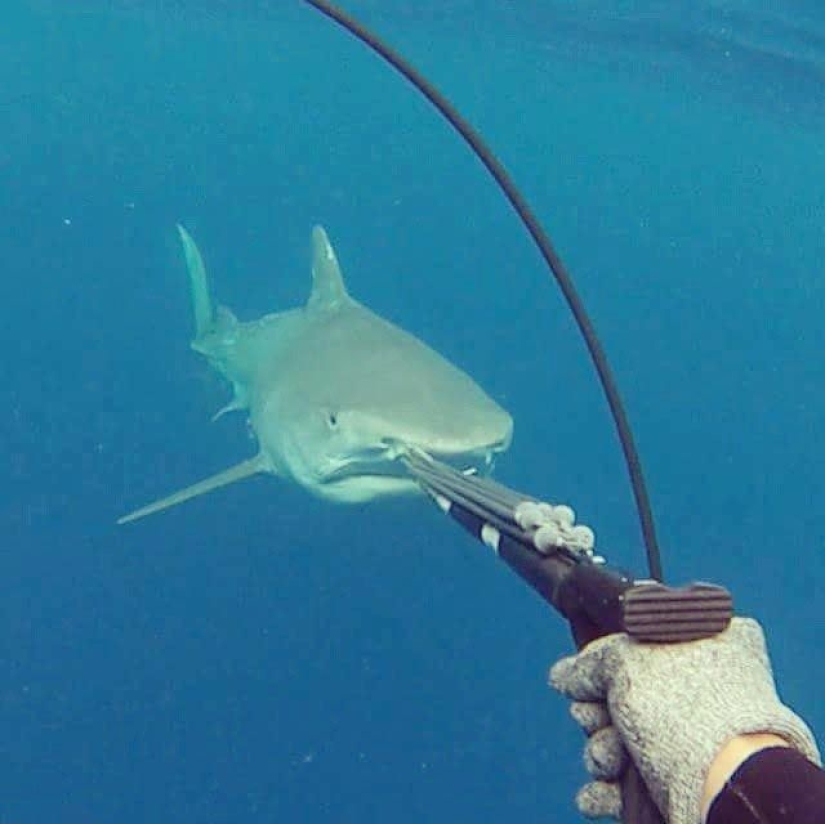 Valentine Thomas is the sexiest fisherwoman on Instagram Valentine Thomas is the sexiest fisherwoman on Instagram