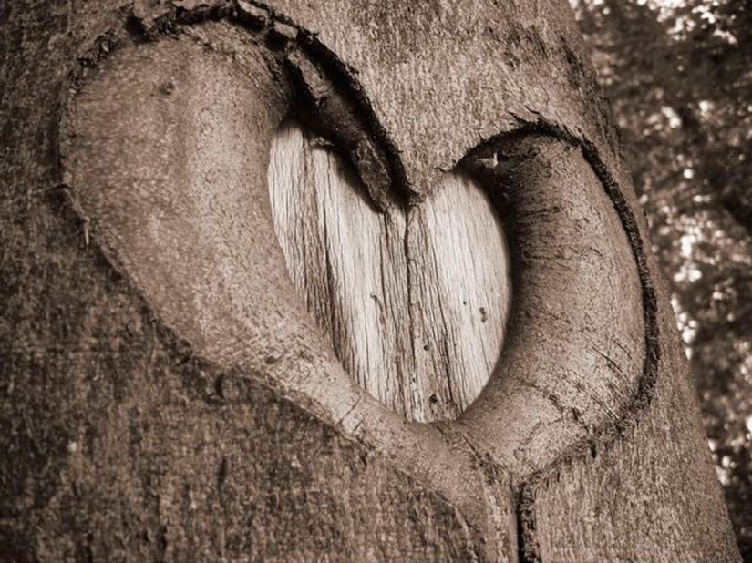 Valentine's Day: Hearts, hearts everywhere!