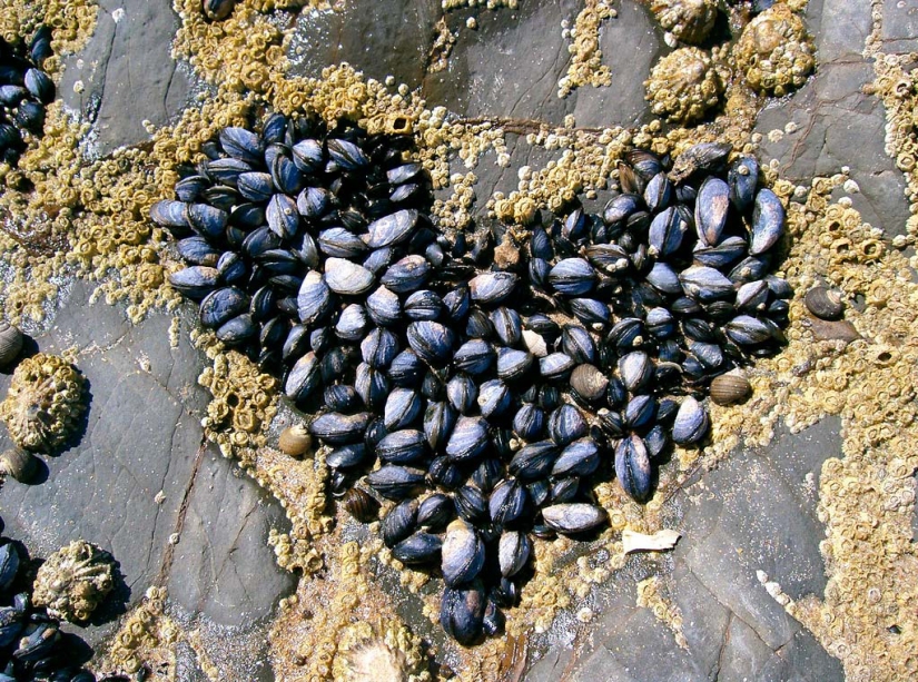 Valentine's Day: Hearts, hearts everywhere!