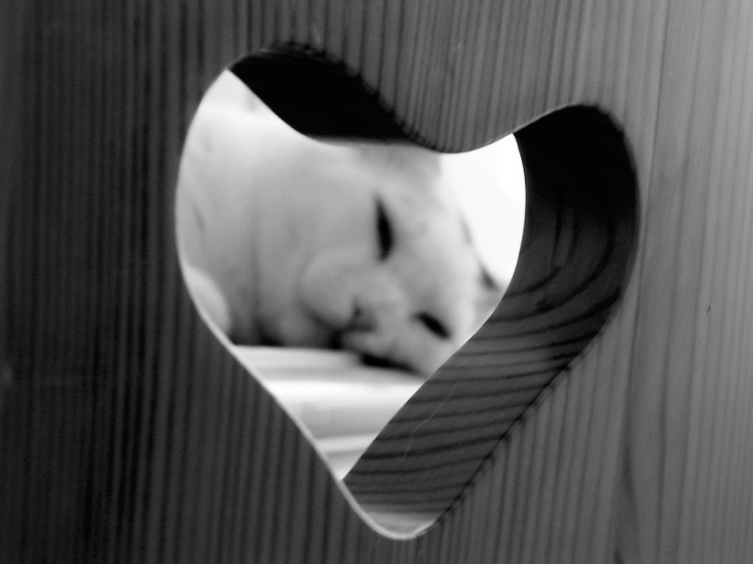 Valentine's Day: Hearts, hearts everywhere!