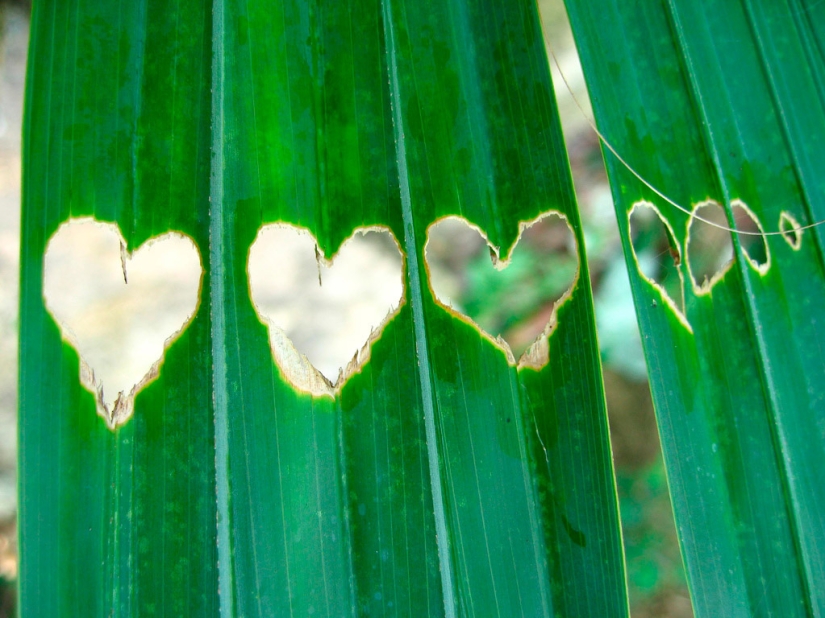 Valentine's Day: Hearts, hearts everywhere!