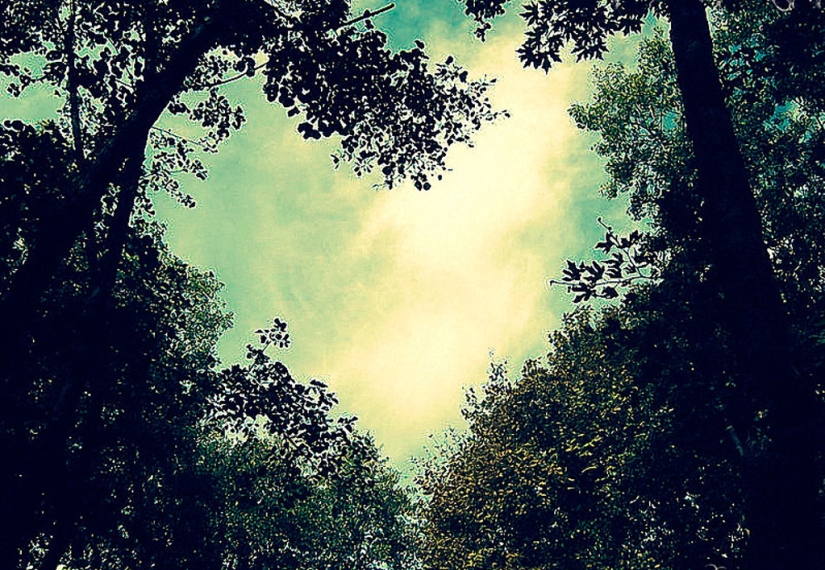 Valentine's Day: Hearts, hearts everywhere!