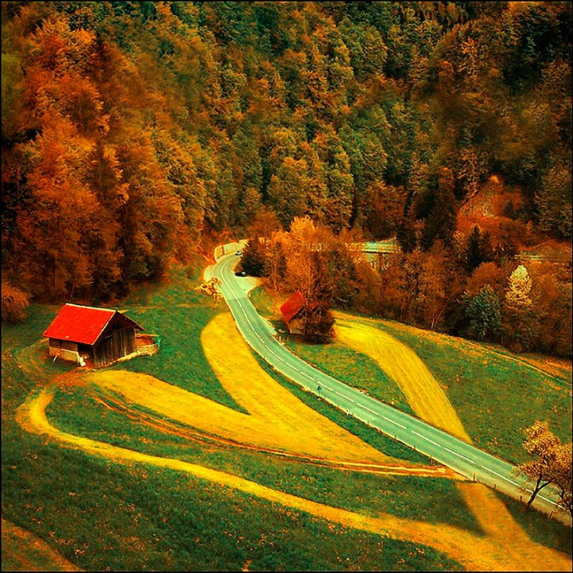 Valentine's Day: Hearts, hearts everywhere!