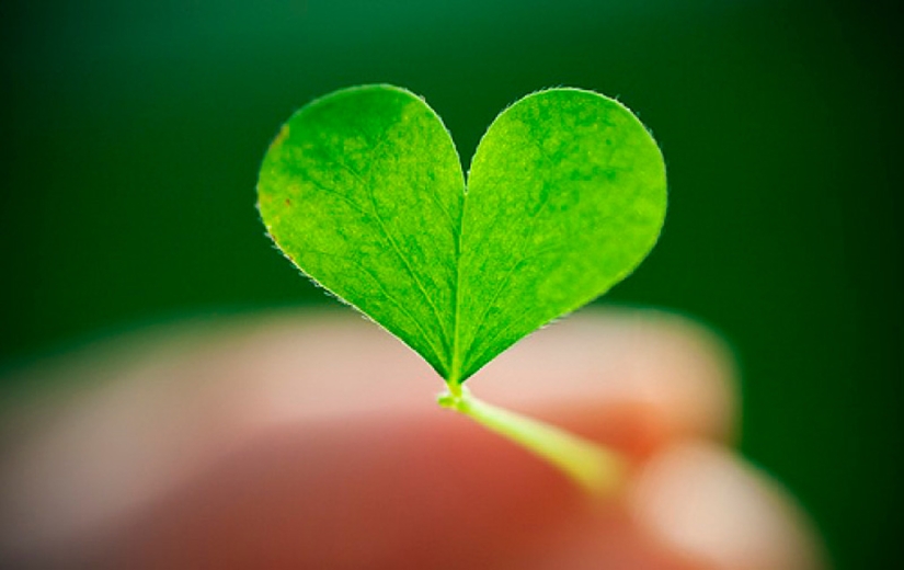 Valentine's Day: Hearts, hearts everywhere!