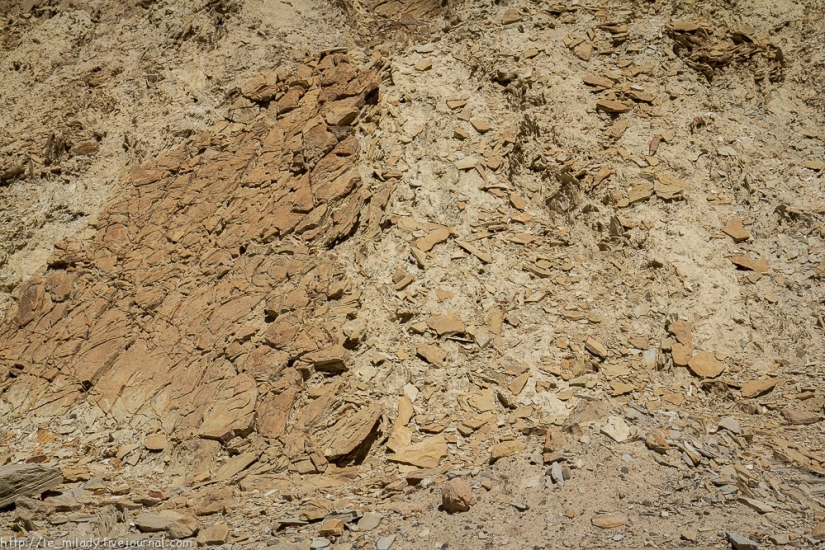 Valle de la muerte - el valle de la belleza mortal Valle de la muerte - el valle de la belleza mortal