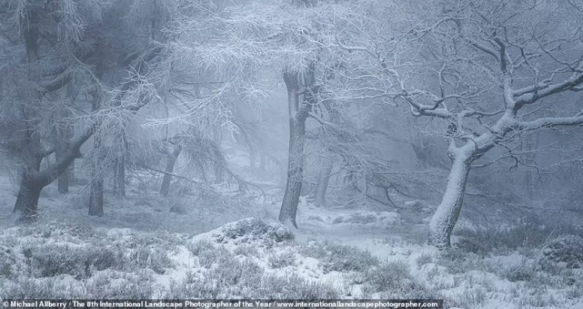 Valles brumosos, bosques mágicos y tormentas monstruosas: se anuncian los ganadores del Increíble Fotógrafo Internacional de Paisajes del Año 2021 Valles brumosos, bosques mágicos y tormentas monstruosas: se anuncian los ganadores del Increíble Fotógrafo Internacional de Paisajes del Año 2021