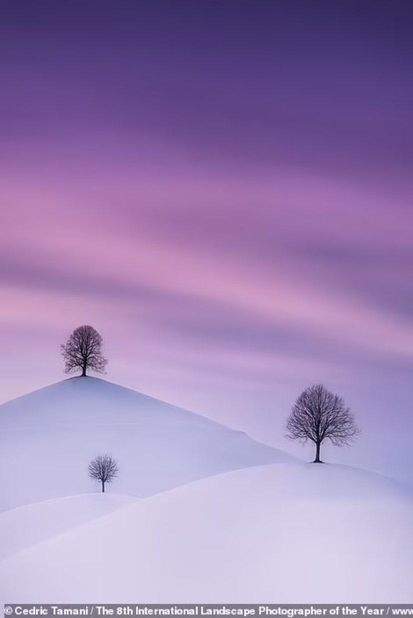 Valles brumosos, bosques mágicos y tormentas monstruosas: se anuncian los ganadores del Increíble Fotógrafo Internacional de Paisajes del Año 2021 Valles brumosos, bosques mágicos y tormentas monstruosas: se anuncian los ganadores del Increíble Fotógrafo Internacional de Paisajes del Año 2021