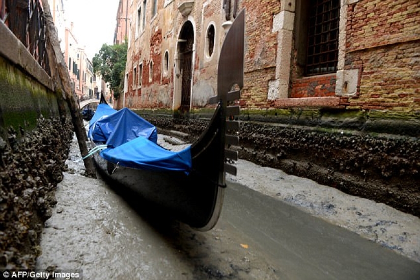 Venice's legendary canals are drying up due to abnormal weather