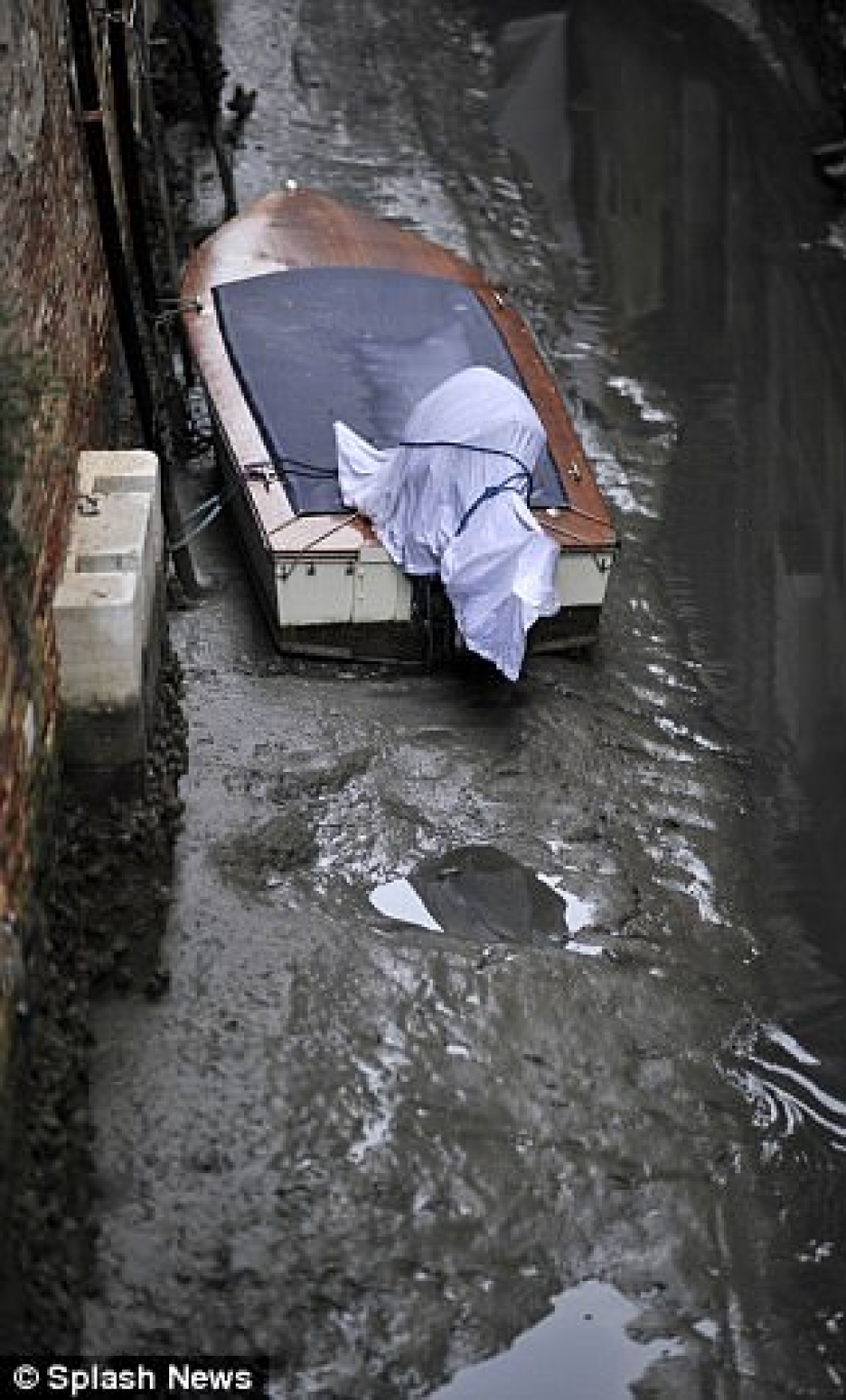 Venice's legendary canals are drying up due to abnormal weather