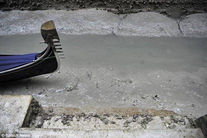 Venice's legendary canals are drying up due to abnormal weather