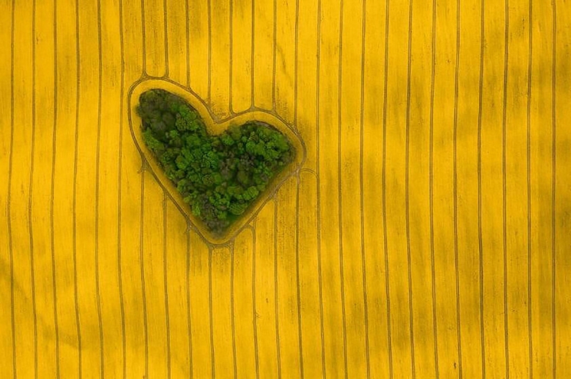 Vertiginoso: las mejores fotos de los Drone Awards 2019