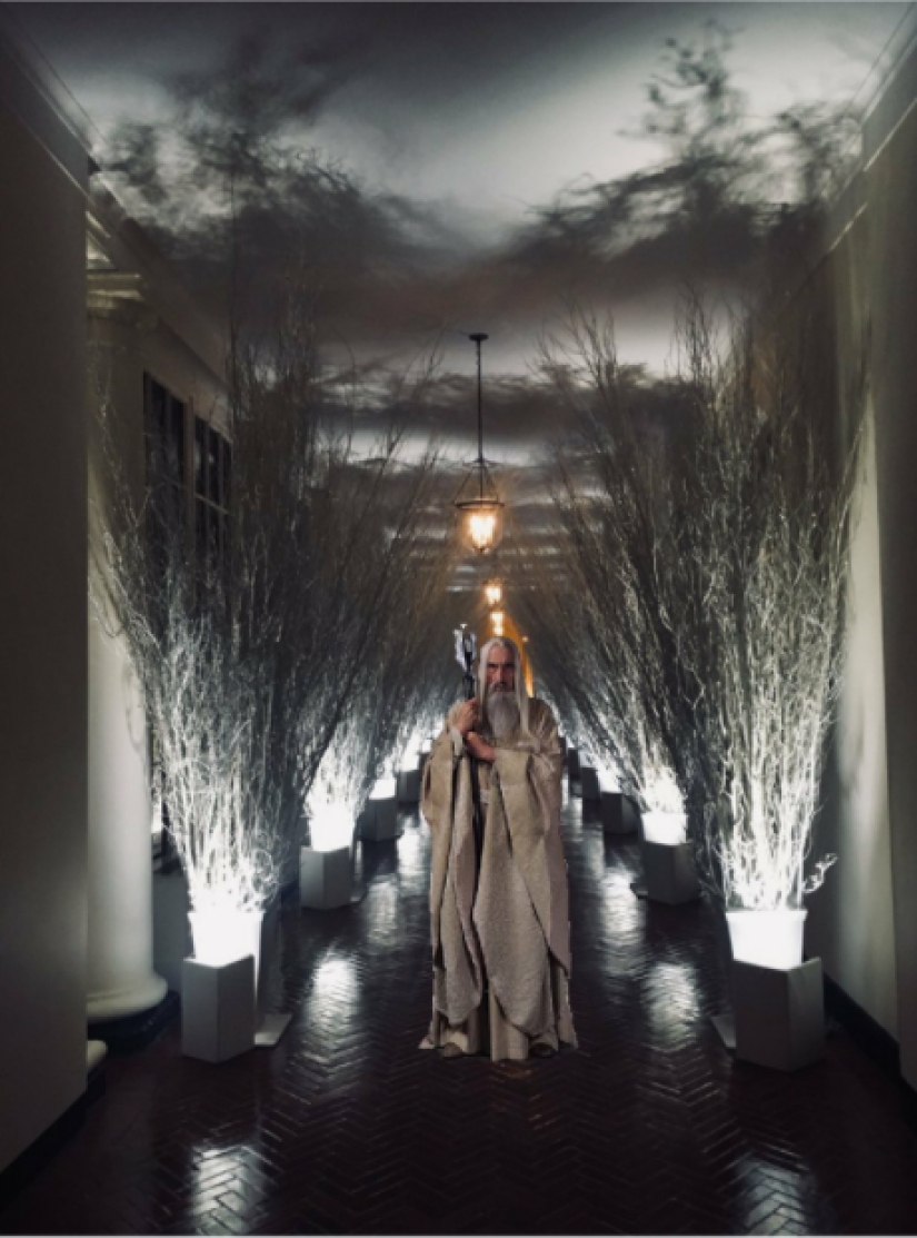 "Very strange funeral": social networks parody the festive decoration of the White House from Melania Trump "Very strange funeral": social networks parody the festive decoration of the White House from Melania Trump