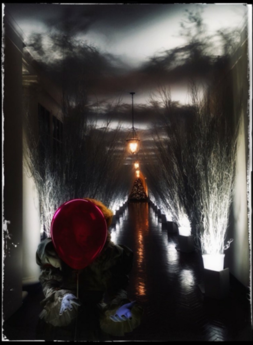 "Very strange funeral": social networks parody the festive decoration of the White House from Melania Trump "Very strange funeral": social networks parody the festive decoration of the White House from Melania Trump
