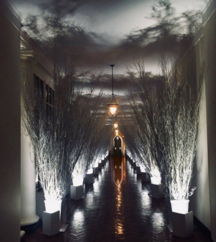 "Very strange funeral": social networks parody the festive decoration of the White House from Melania Trump "Very strange funeral": social networks parody the festive decoration of the White House from Melania Trump