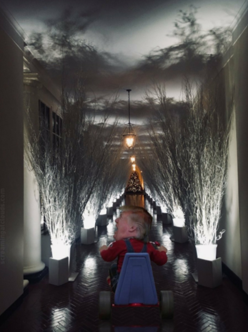 "Very strange funeral": social networks parody the festive decoration of the White House from Melania Trump "Very strange funeral": social networks parody the festive decoration of the White House from Melania Trump