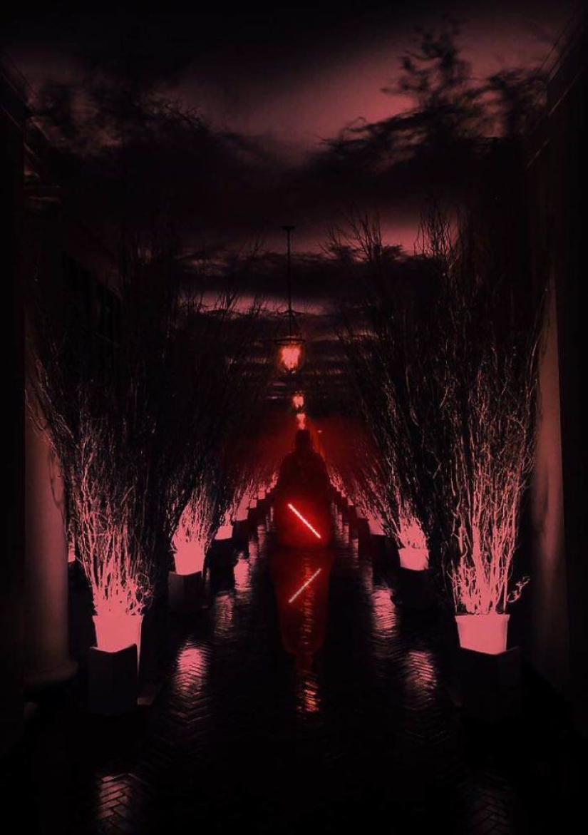"Very strange funeral": social networks parody the festive decoration of the White House from Melania Trump "Very strange funeral": social networks parody the festive decoration of the White House from Melania Trump