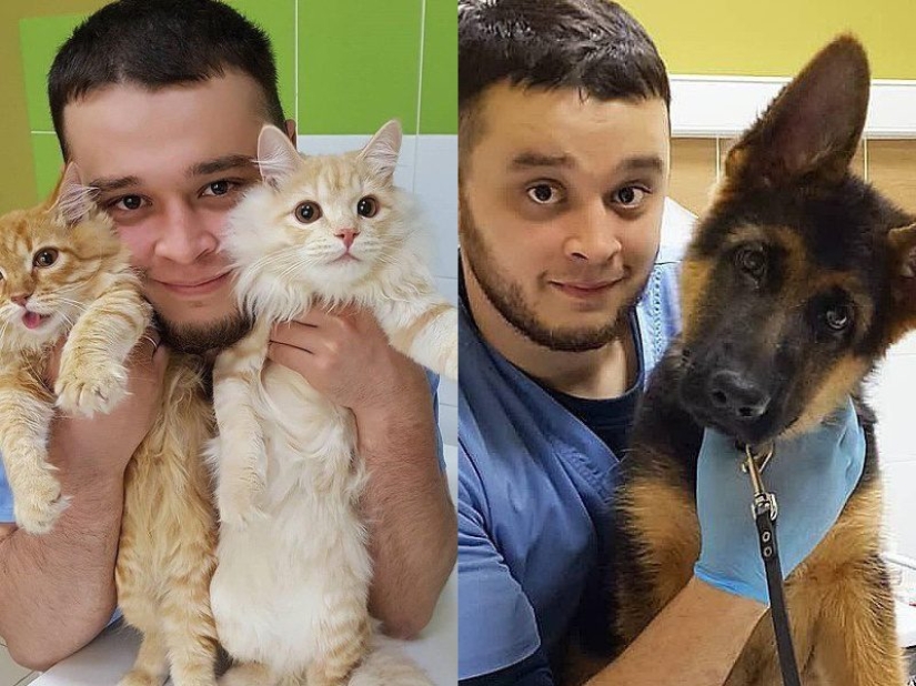 Veterinario Ruso Enfrenta Cárcel por Salvar a Animales de la Muerte Veterinario Ruso Enfrenta Cárcel por Salvar a Animales de la Muerte