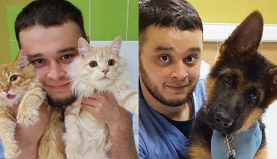 Veterinario Ruso Enfrenta Cárcel por Salvar a Animales de la Muerte Veterinario Ruso Enfrenta Cárcel por Salvar a Animales de la Muerte