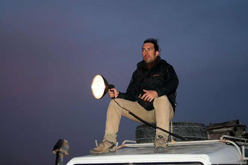 "Vimos tres pares de ojos brillantes": los científicos lograron fotografiar por primera vez a los gatitos de un gato de dunas