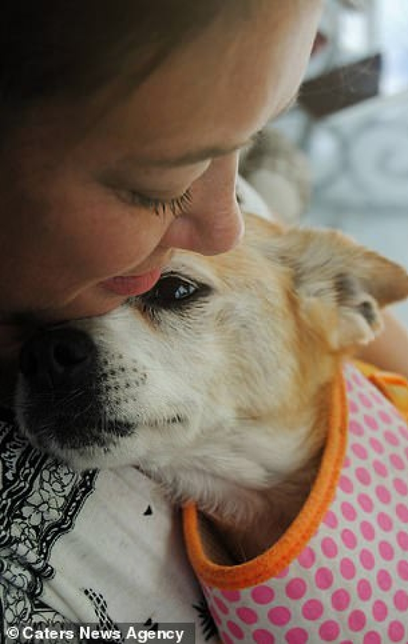 "Wait for me and I'll be back": a missing cat met its owner after 13 years of separation