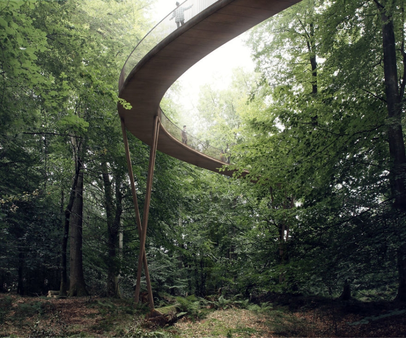 Walk — I don't want to: a spiral tower for hiking will appear in the Danish forest