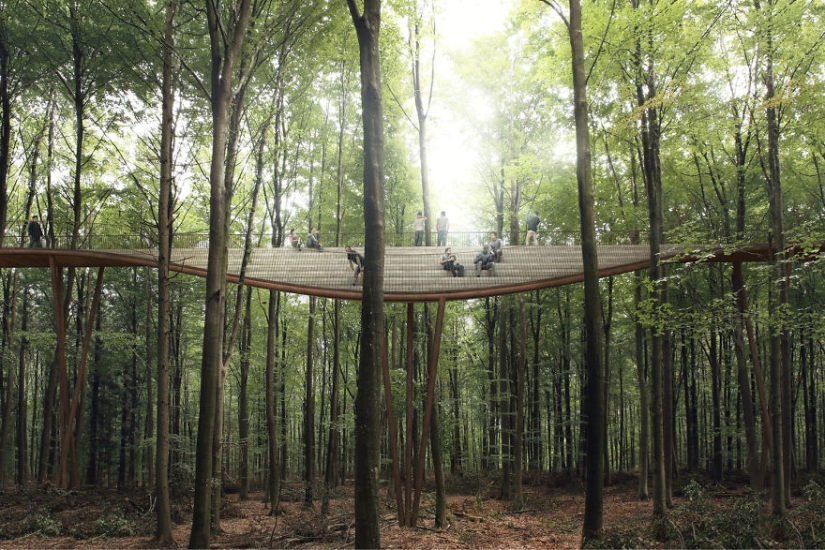 Walk — I don't want to: a spiral tower for hiking will appear in the Danish forest