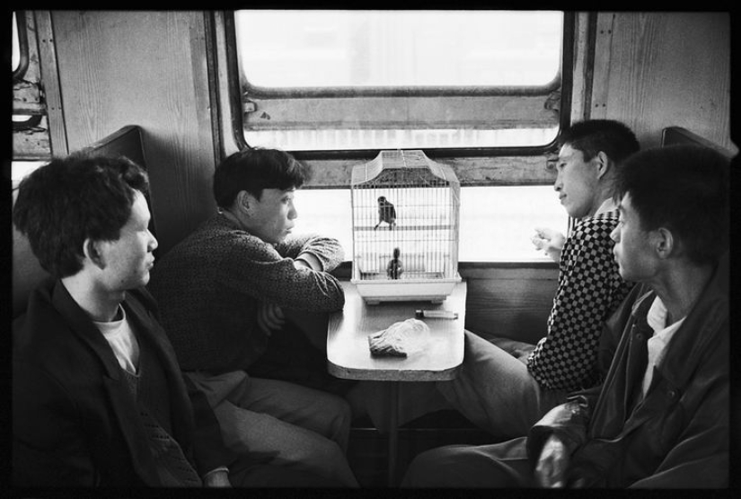 Wang Fuchun and his famous photo series "The Chinese on the train"
