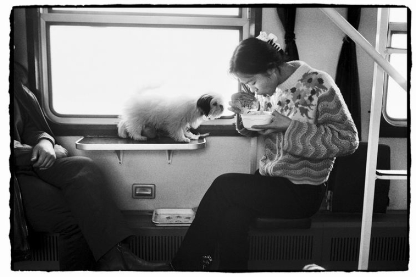 Wang Fuchun and his famous photo series "The Chinese on the train"