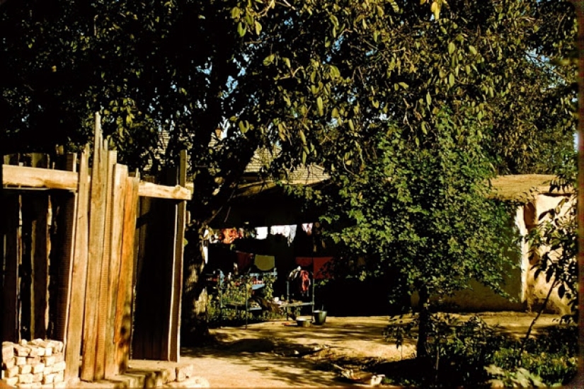 Warm and colorful pictures of everyday life in Uzbekistan in 1956