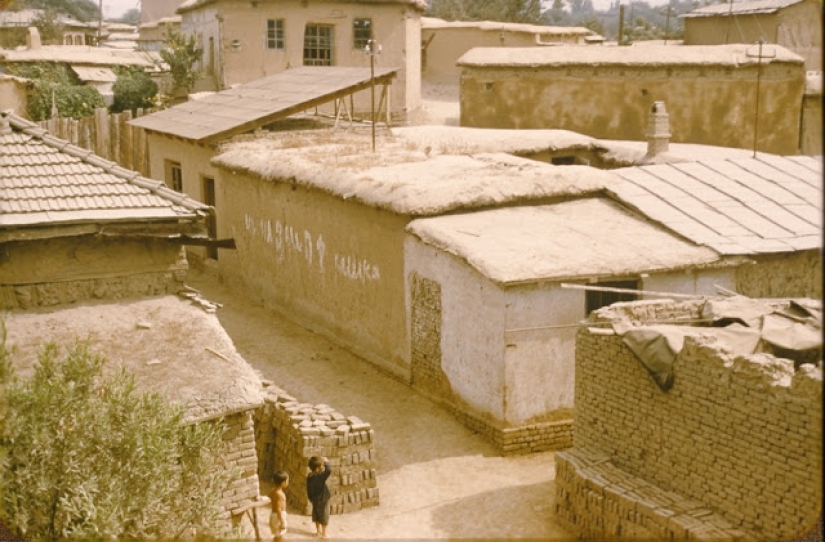Warm and colorful pictures of everyday life in Uzbekistan in 1956