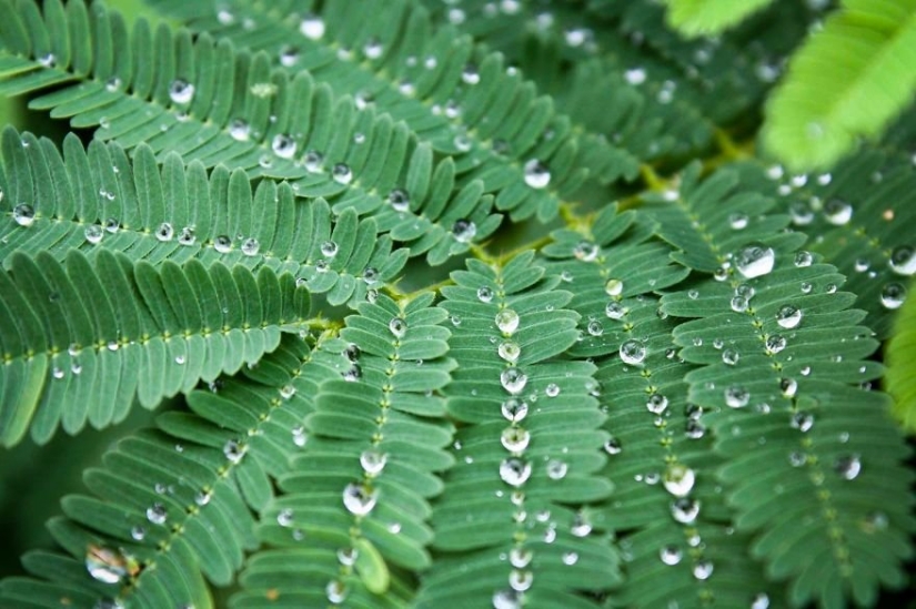 Water Element: 30 best photos from the #Water2019 contest that you should definitely see Water Element: 30 best photos from the #Water2019 contest that you should definitely see