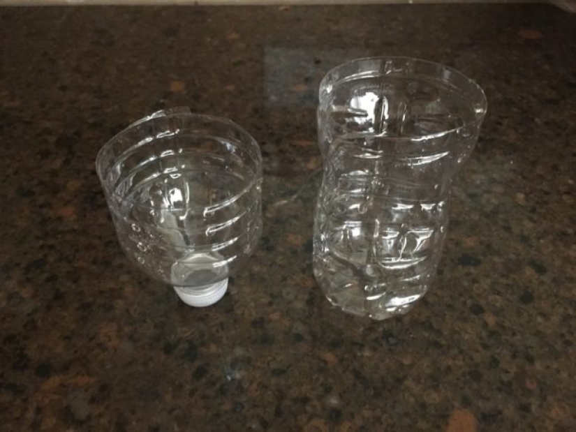 We declare a genocide of flies: how to make a simple but effective insect trap We declare a genocide of flies: how to make a simple but effective insect trap