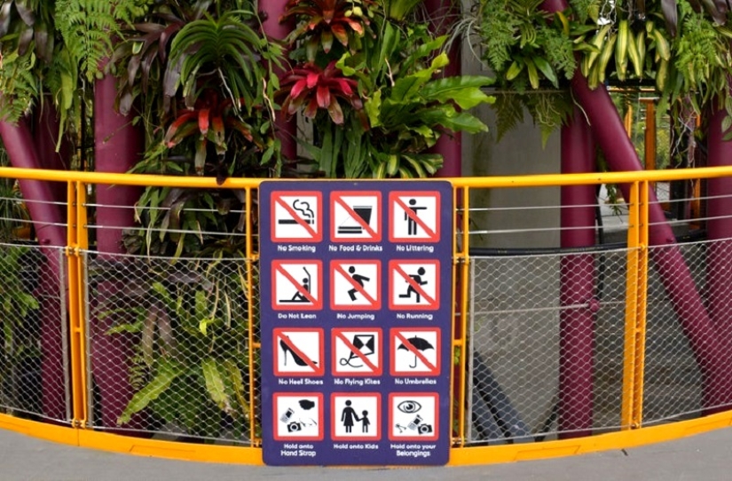 We do not understand: why are they fined and imprisoned in Singapore