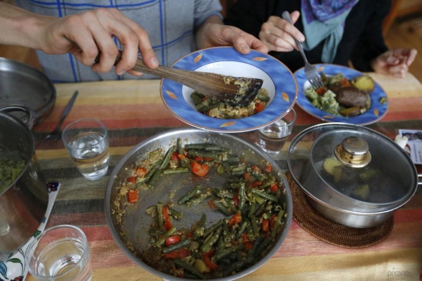 We feed from the garbage, and you?