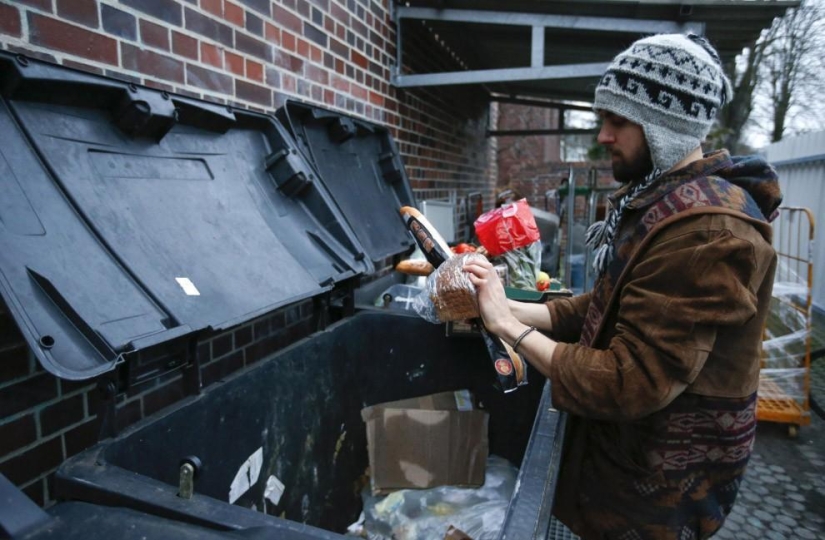 We feed from the garbage, and you?