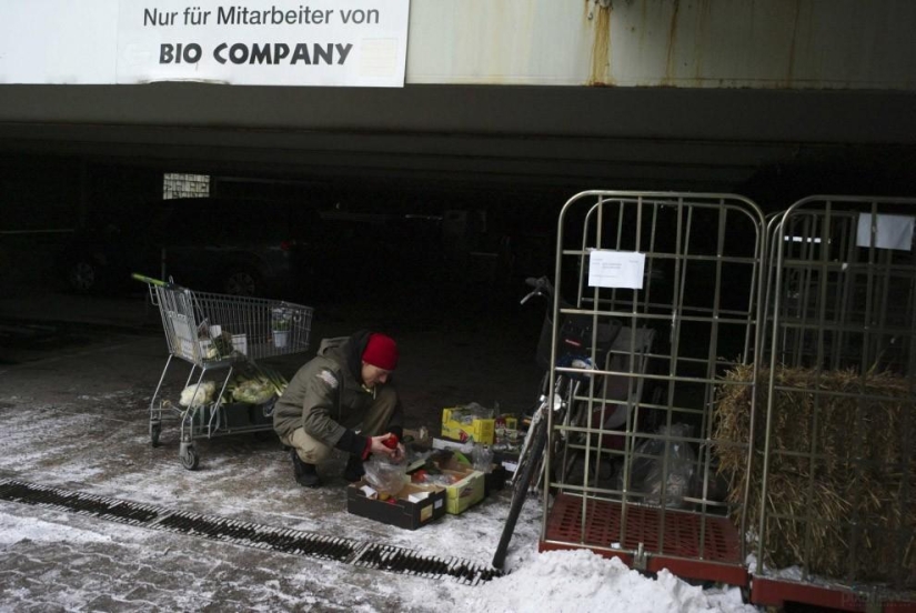 We feed from the garbage, and you?