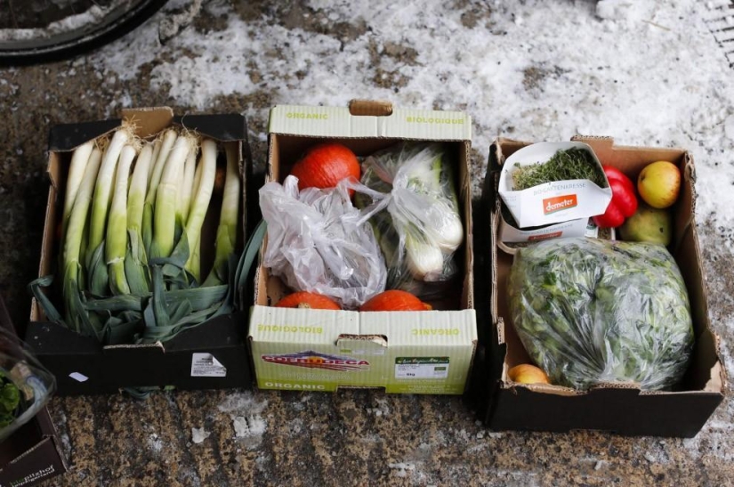 We feed from the garbage, and you?