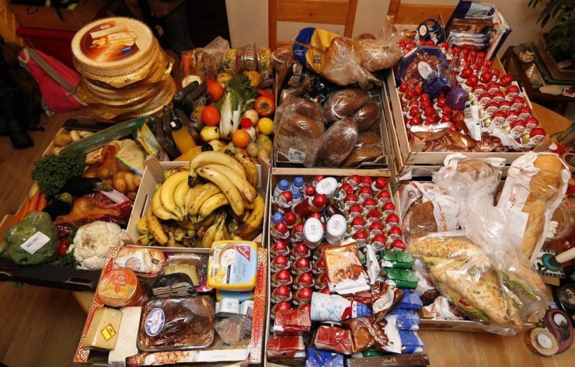 We feed from the garbage, and you?