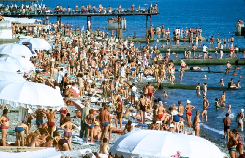 We give over the plan: Soviet youth of the 60s We give over the plan: Soviet youth of the 60s