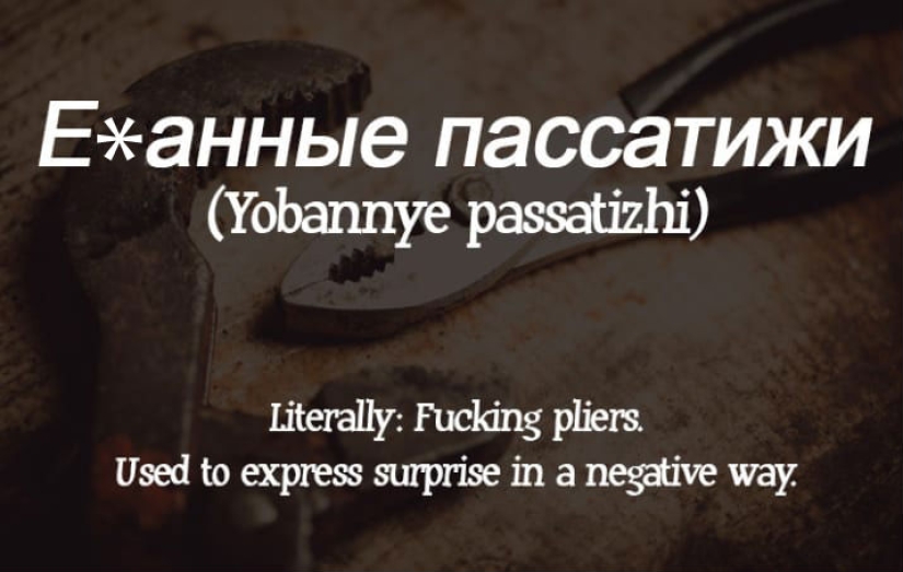 "We lack this in English": how Americans translated Russian swear words (careful, mate)