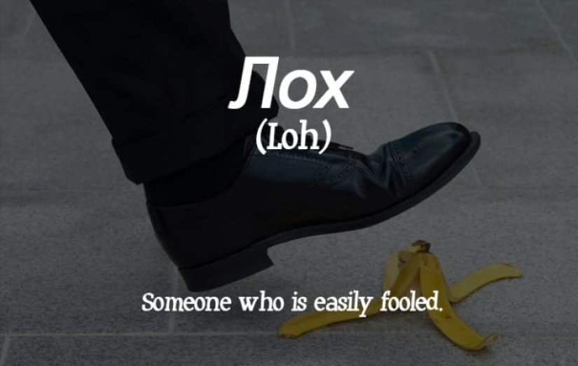 "We lack this in English": how Americans translated Russian swear words (careful, mate)