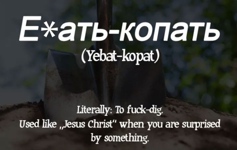 "We lack this in English": how Americans translated Russian swear words (careful, mate)