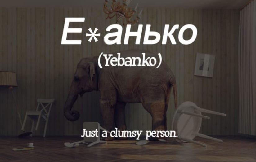 "We lack this in English": how Americans translated Russian swear words (careful, mate)