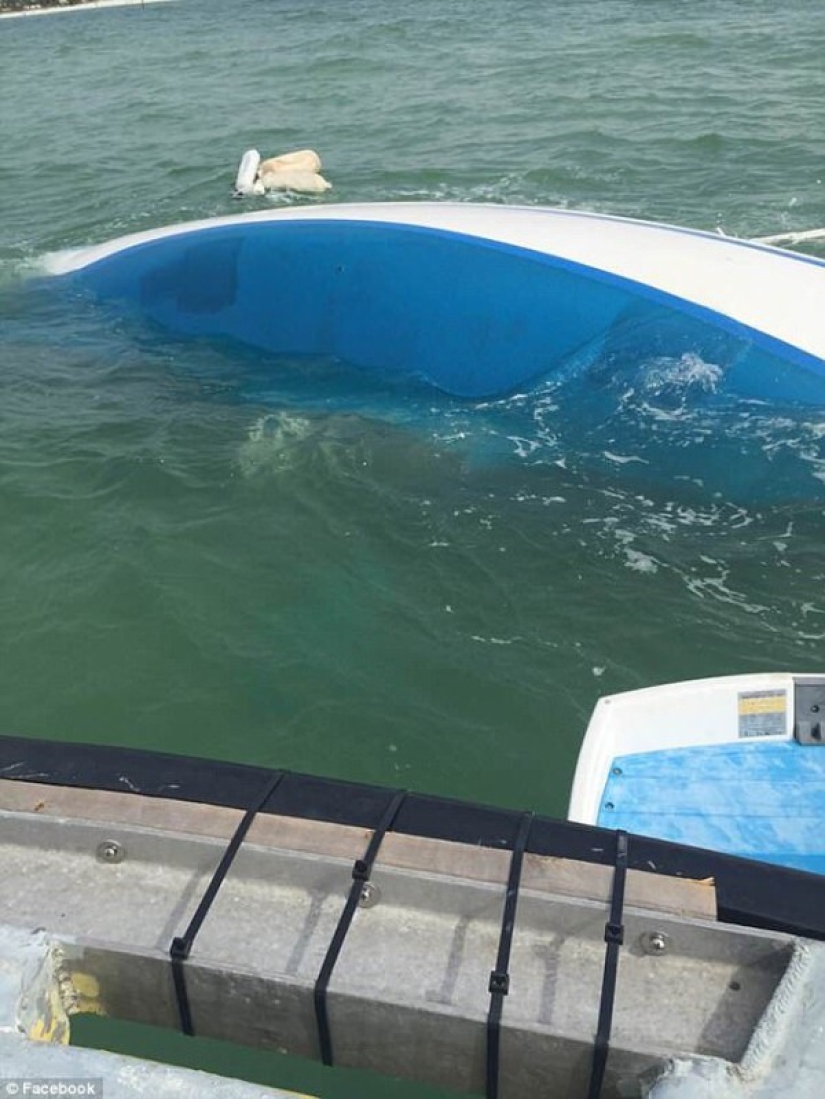 "We lost everything in 20 minutes": the couple wanted to start a new life on a yacht, but happiness lasted only two days