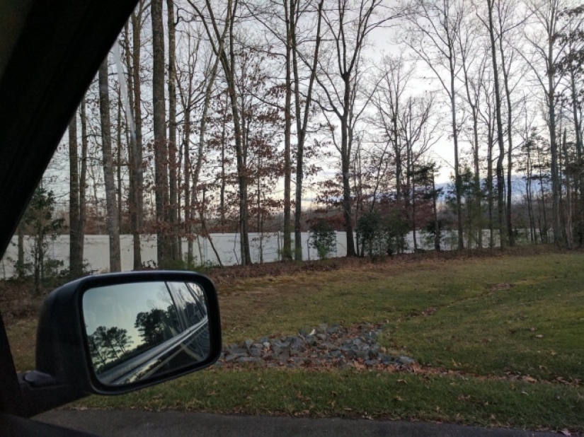 We tried to find the logic in these 11 pictures, but we couldn't