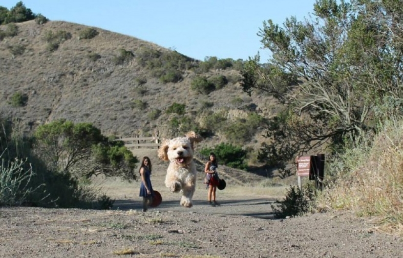 We tried to find the logic in these 11 pictures, but we couldn't